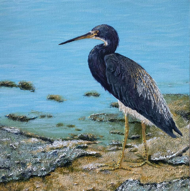 Wild Whispers: A Nature & Wildlife Art Collection