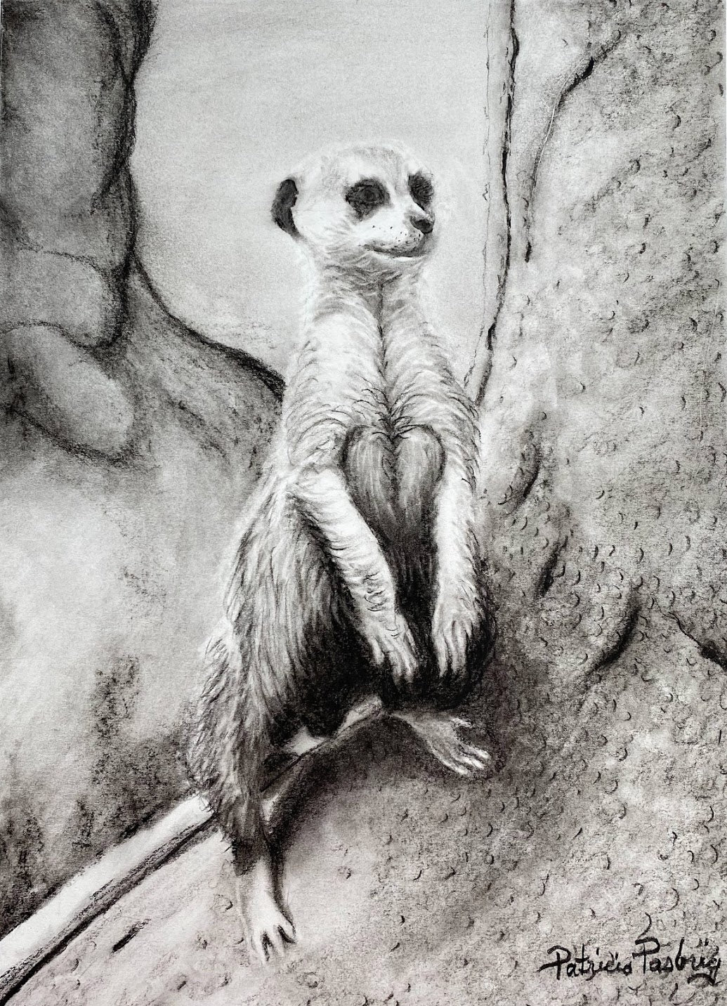 ORIGINAL // MIXED MEDIA // Lookout Meerkat