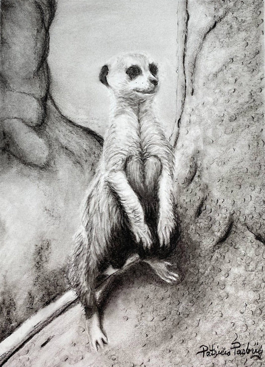 ORIGINAL // MIXED MEDIA // Lookout Meerkat